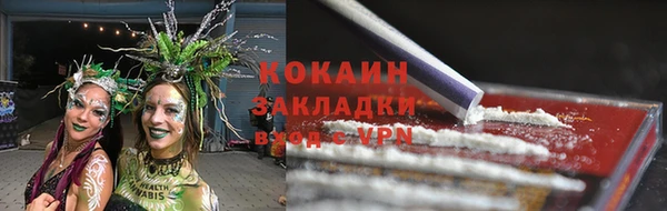 трава Балахна