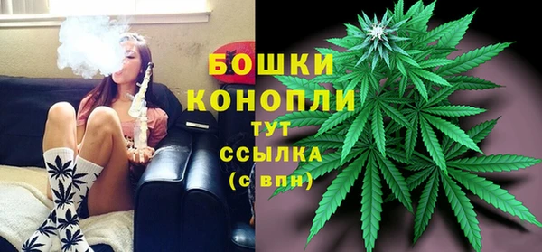 трава Балахна