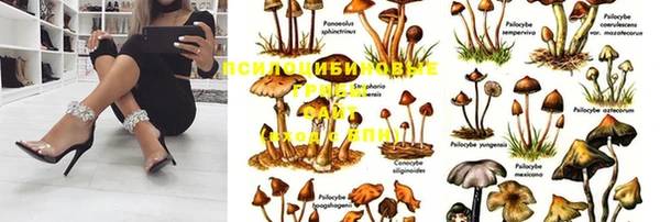 мяу мяу кристалл Баксан